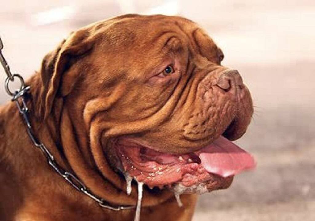 Я, во время ФГС😄