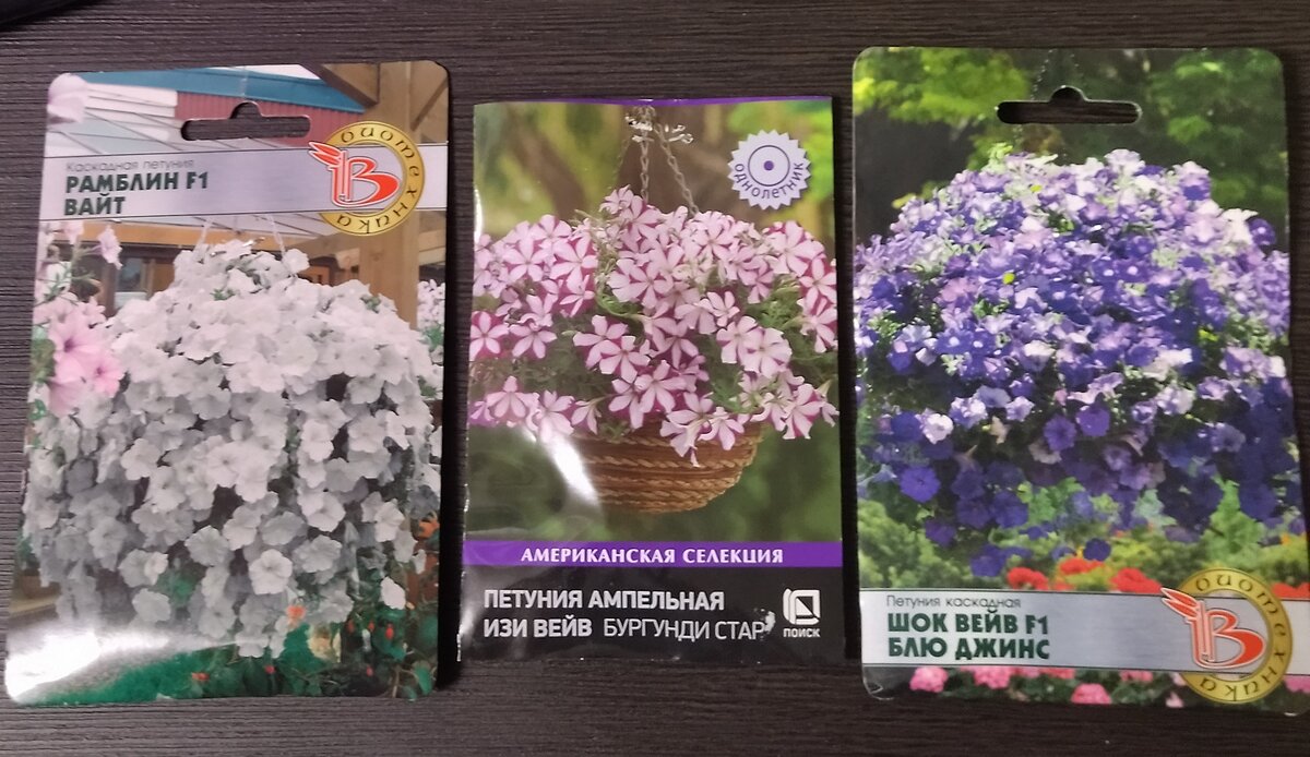 какие семена можно сеять в январе. посев семян цветов на рассаду. рассада. посев рассады. сроки посева семян цветов на рассаду таблица.