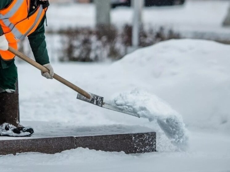 Добролюбов презентация. Когда придет время. Навстречу сильному ветру. Добролюбов современник. Когда же придет настоящий день посвящена.