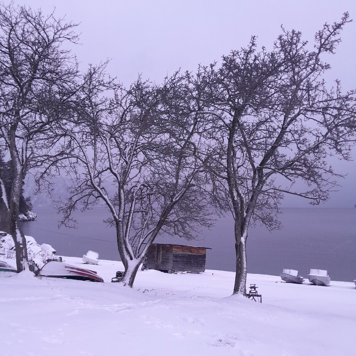 Телецкое озеро в селе Яйлю.