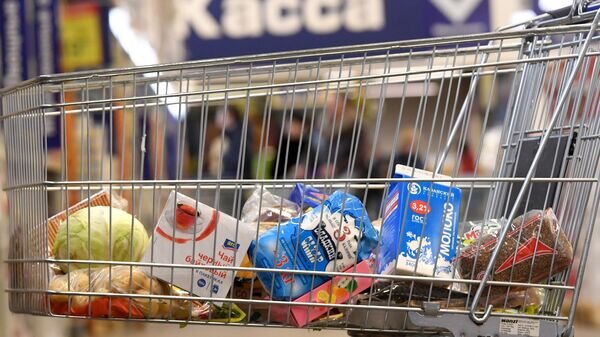    © Sputnik / Максим Богодвид