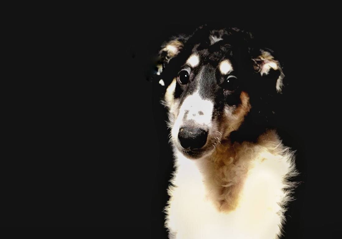 Личное фото