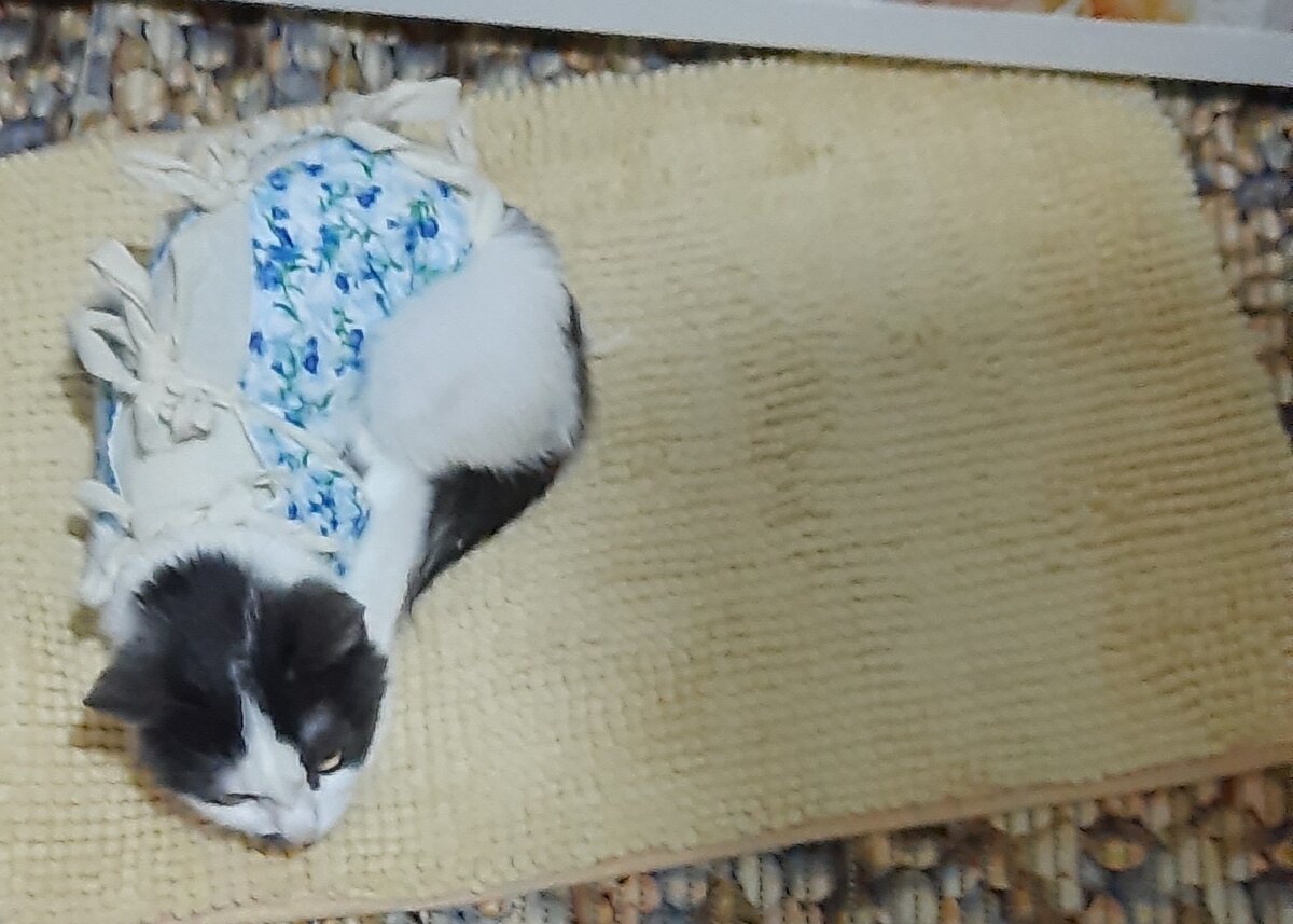 из мурманска обо всем. из мурманска обо всем. из мурманска обо всем. кольский 8 мурманск. из мурманска обо всем.