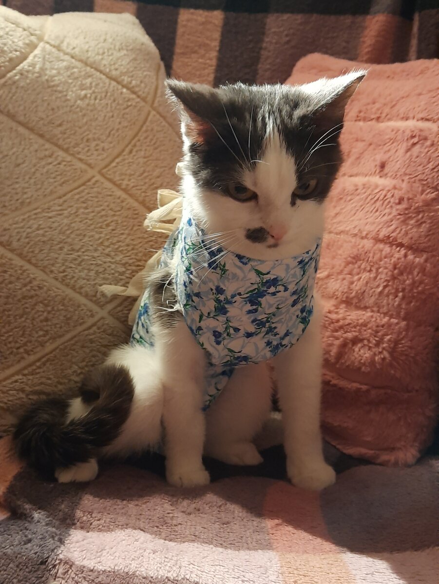 Доцент. Ни дать, ни взять, Доцент. Кругом одни редиски)))