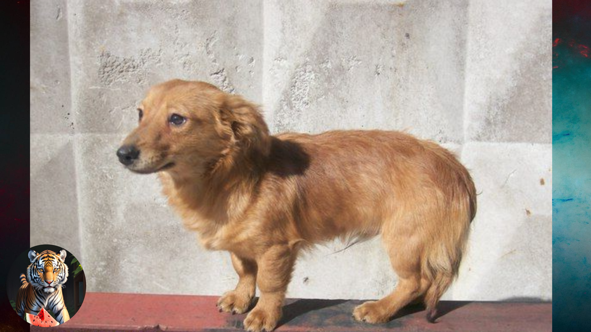 цитаты про забыть человека. а вить не просто забыть. зачем я тебе. забыть цитаты. ты забыл про меня стихи.