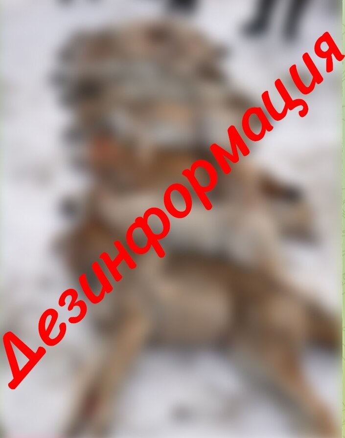 Фотосессия на курском