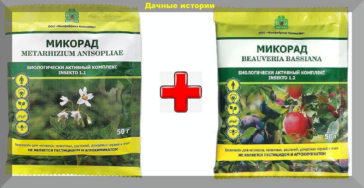 какой минимальный кворум необходим. голосование в акционерном обществе. какой минимальный кворум необходим. кворум для принятия решения о созыве собрания акционеров. кворум сенсинг микробиология.