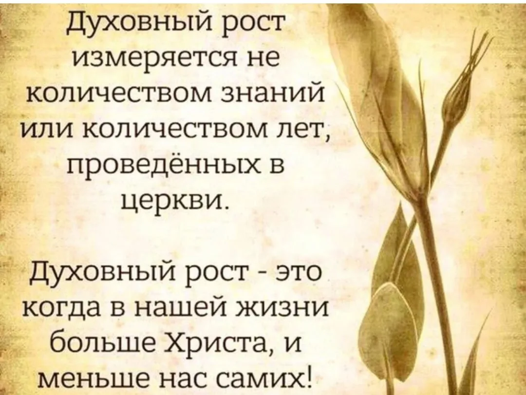 Чем духовный человек отличается от плотского? - Рассуждения святого ...