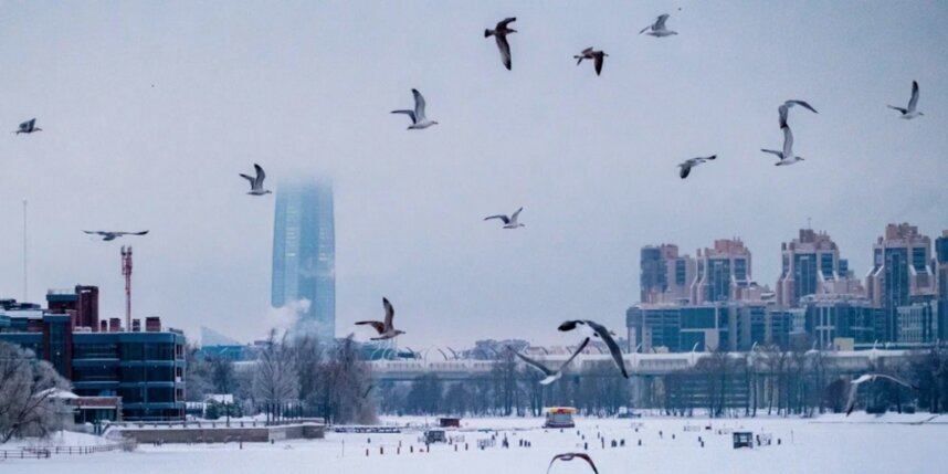    Алёна Бобрович.