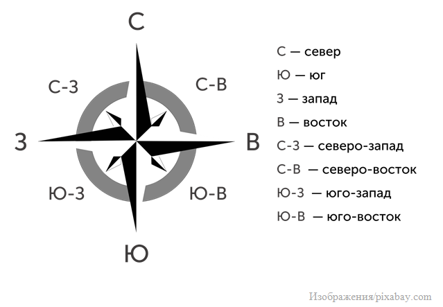 Стороны света картинка распечатать