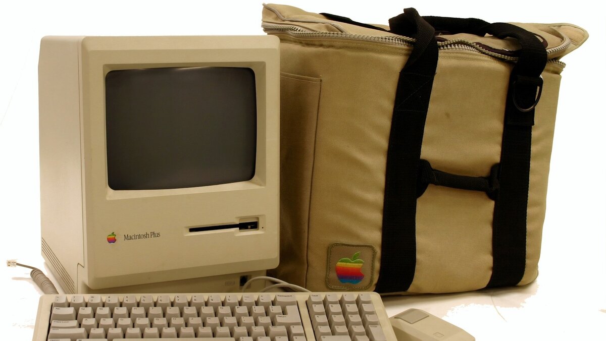 Museums Victoria, unsplash.com