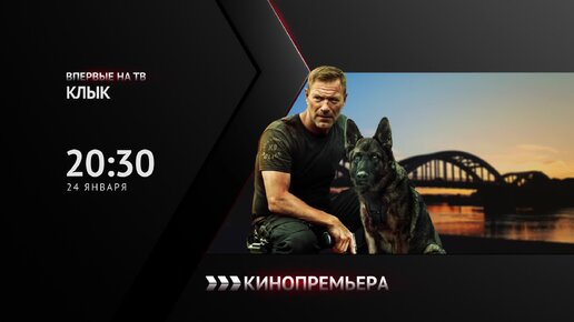 кабельное тв в саранске терешкова. кабельное тв. схема сети кабельного телевидения. кабельное телевидение ульяновск. подключить дом ру.