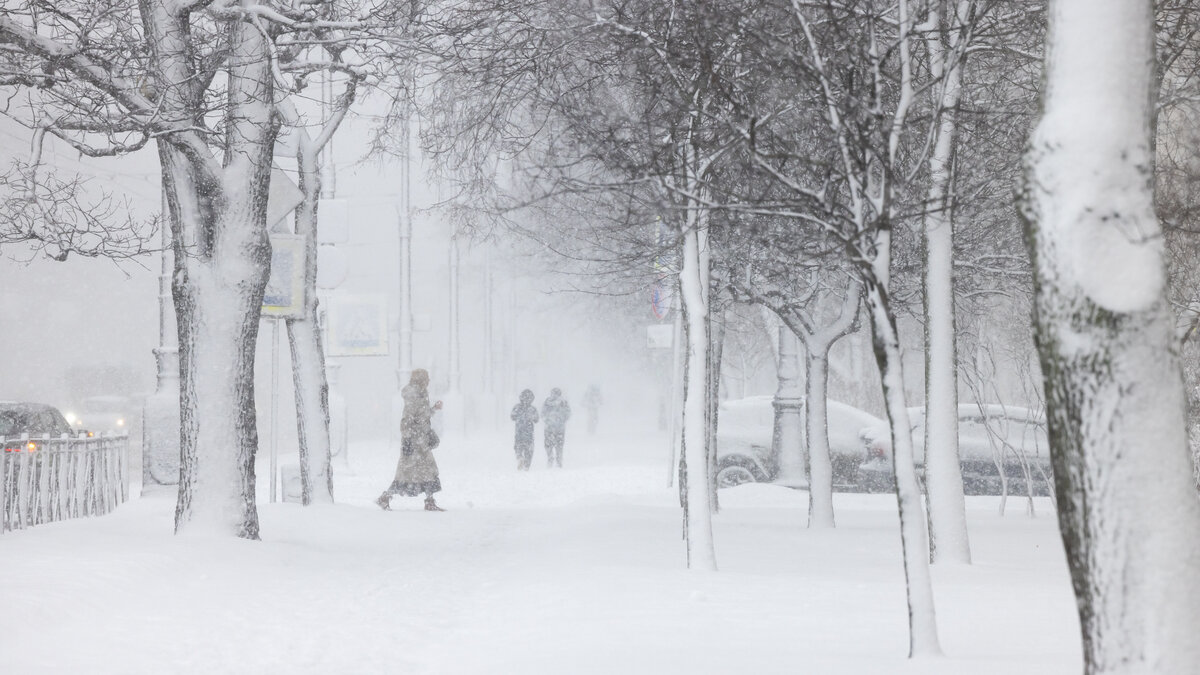 © Форпост Северо-Запад / Павел Долганов