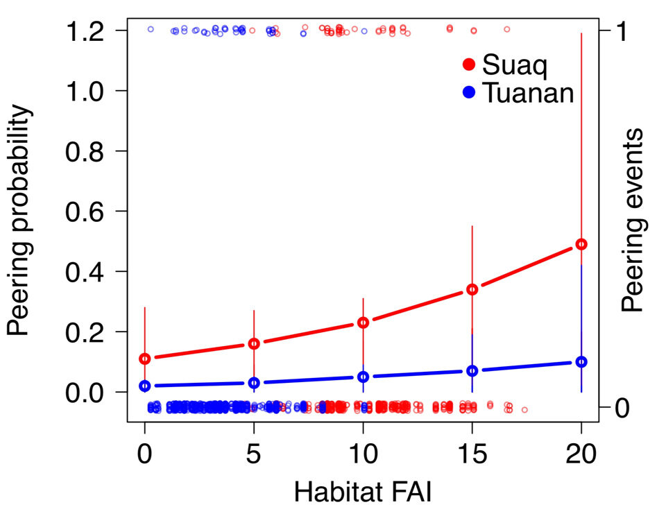   Julia Mörchen et al. / iScience, 2024