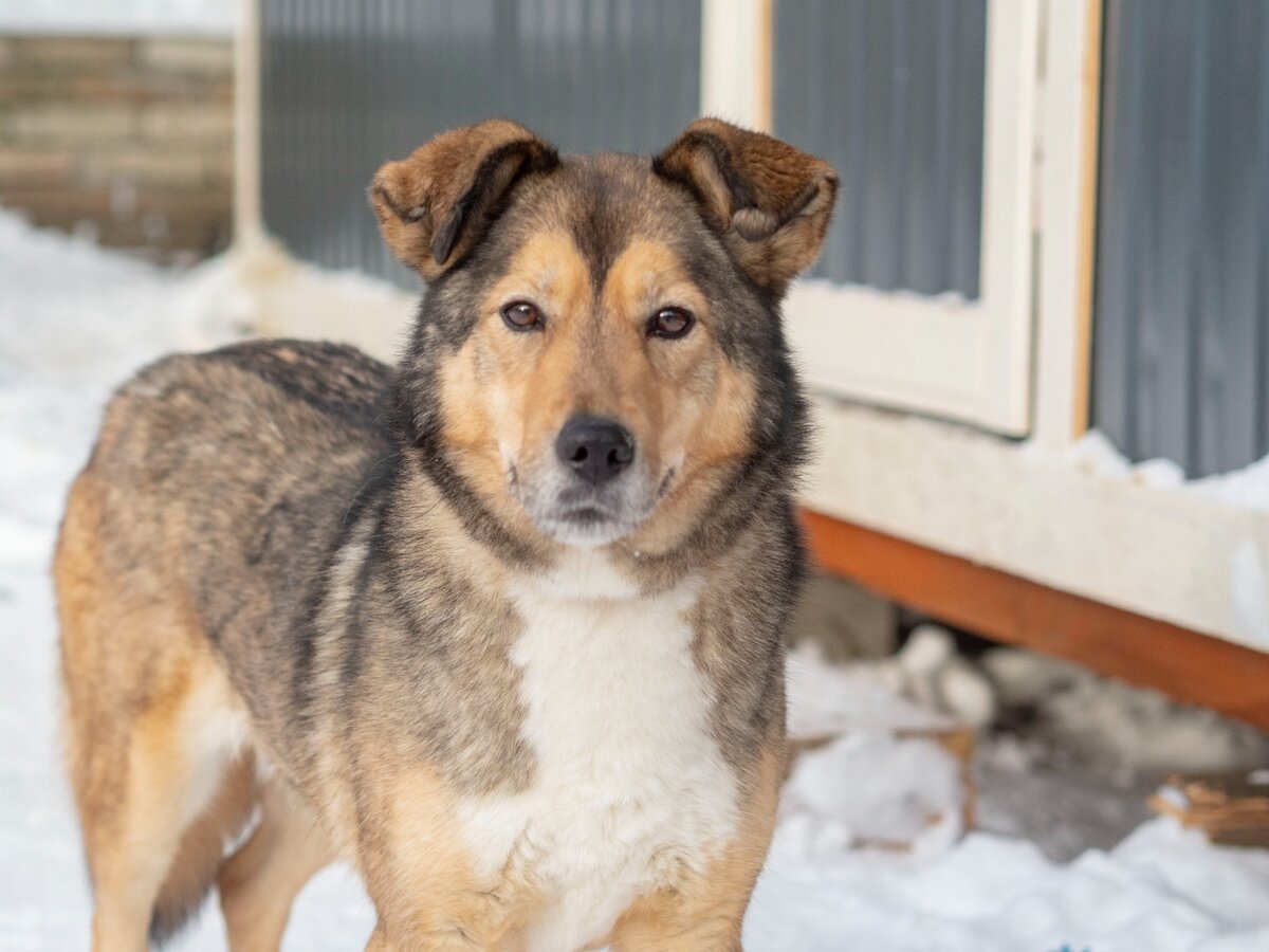 ешь бери меню. Menu and orders. логотип есть бери. кафе пекарня плюшки ватрушки. ешь бери меню.