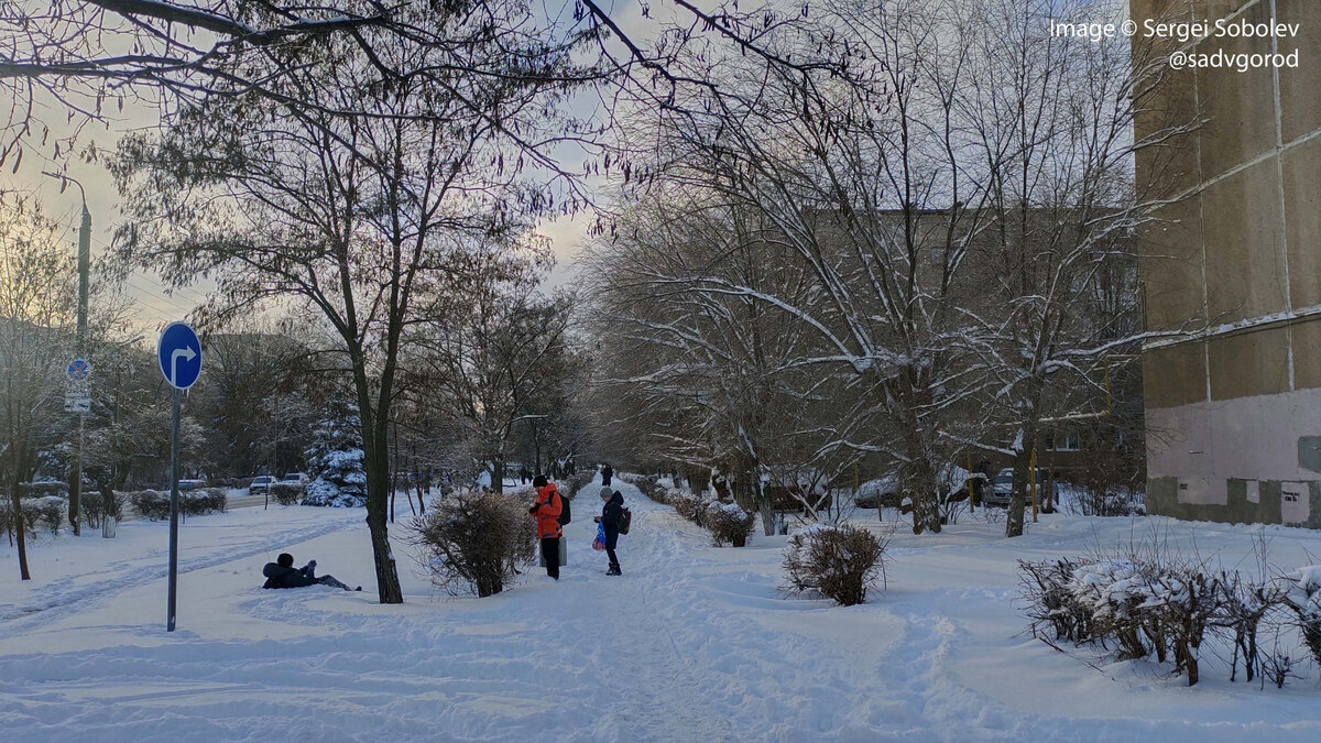 вредные факторы влияющие на зеленые насаждения в городе. норматив озеленения для города. нормы озеленения городов. процент озеленения территории. нормативы по озеленению.