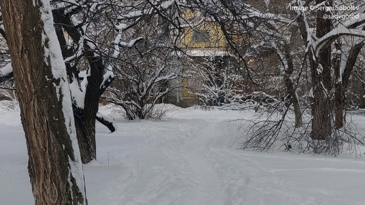 А вот так выглядят дворы. Пока лежит снег это даже красиво. Но снег тут ненадолго: скоро будет каша, лёд, грязь...