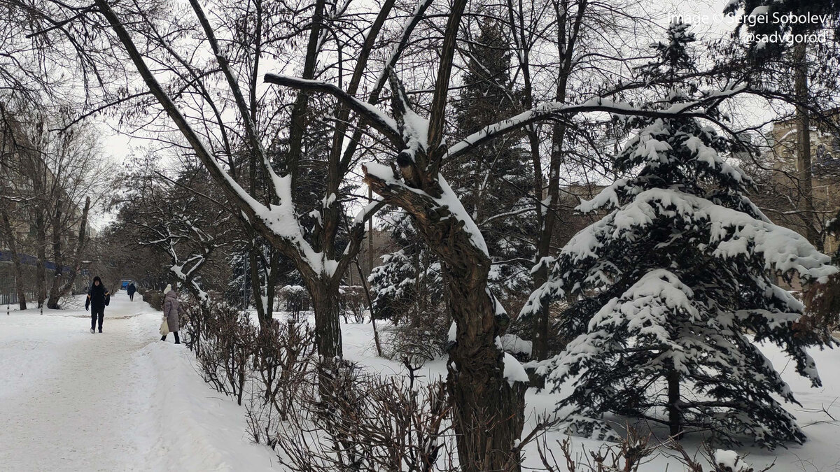 зимнему городу лето. Everlasting summer зима. зимний лес. время года зима. нижняя набережная ангары зима иркутск.