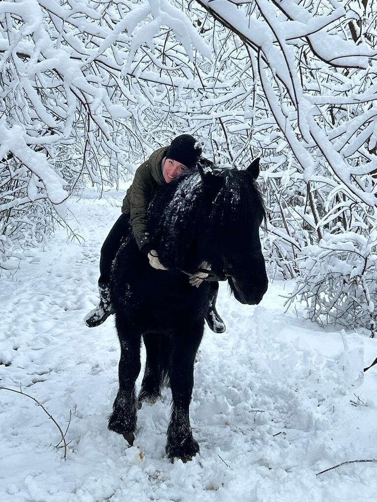 Ворон тяжеловозной породы, хотя хозяйка утверждает, что это Фриз🤔