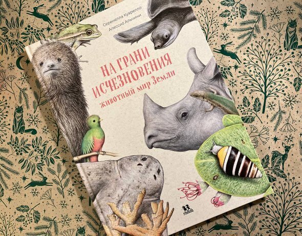 Международный день книгодарения отмечается 14 февраля.-6