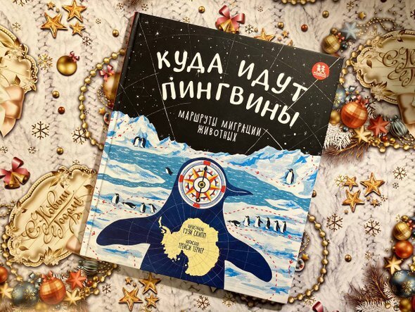 Международный день книгодарения отмечается 14 февраля.-4