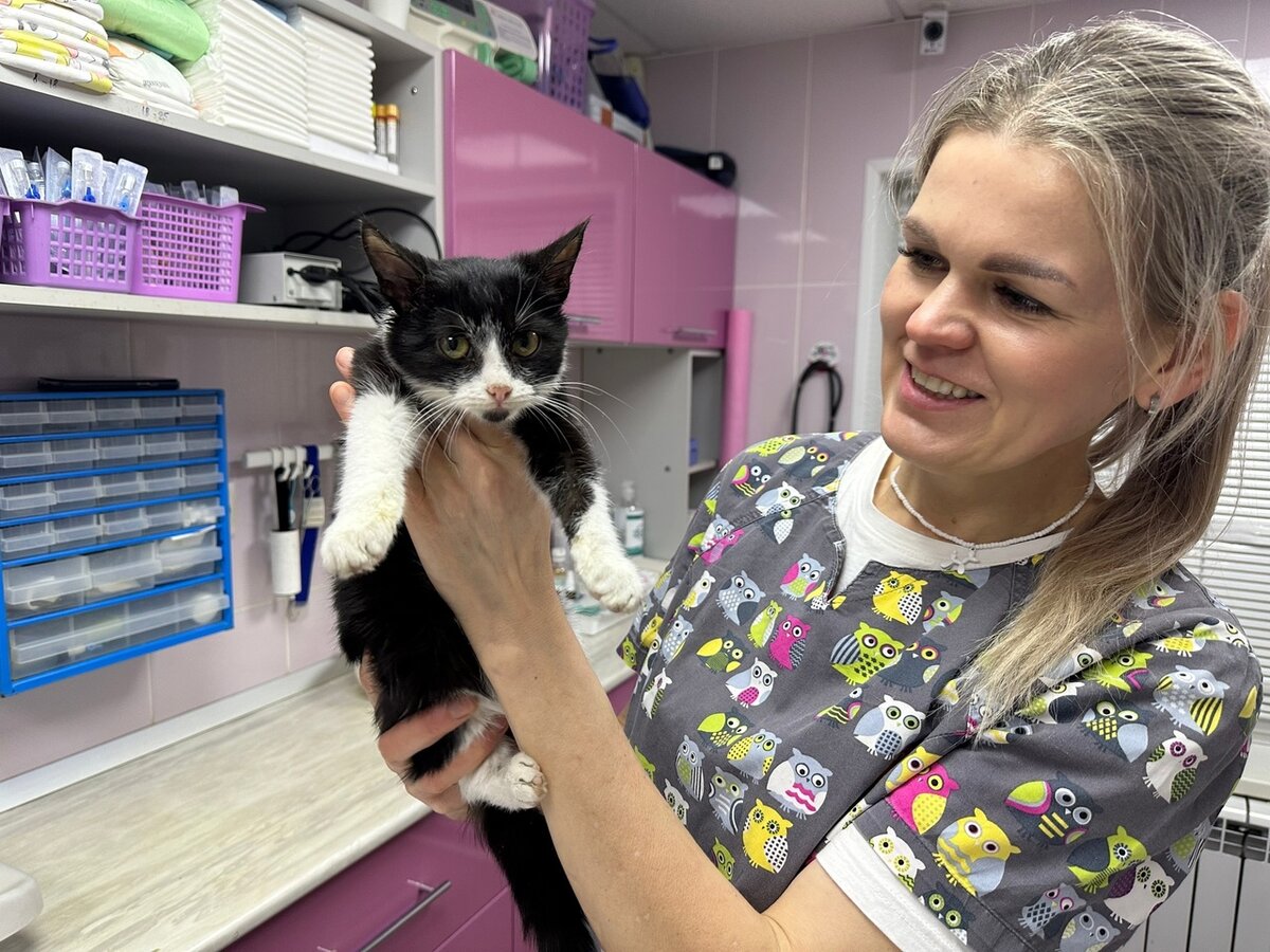 Кошечка очень истощена. Нам были необходимы рекомендации ветеринара