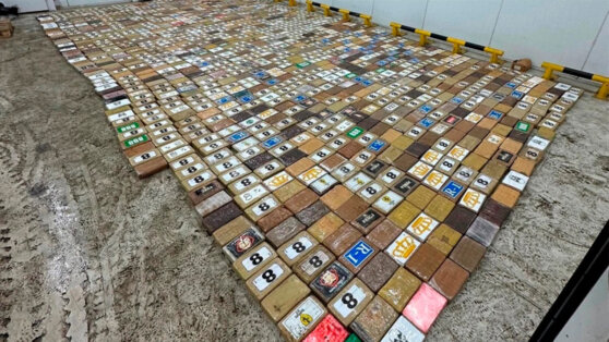    В порту Петербурга изъяли 1,2 тонны кокаина на 13 млрд рублей Алина Городниченко