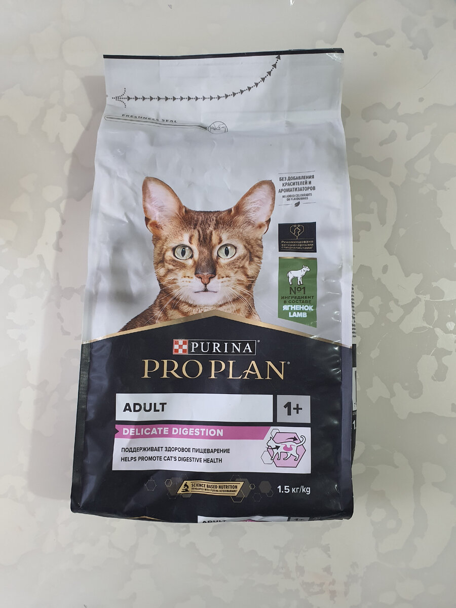 Когда коту заняться нечем. Дело было вечером делать было нечего. Дело было выечеро делаьтб было нкечегшо. Картинки когда нечего делать. Дело было вечером дело ть было нечего.