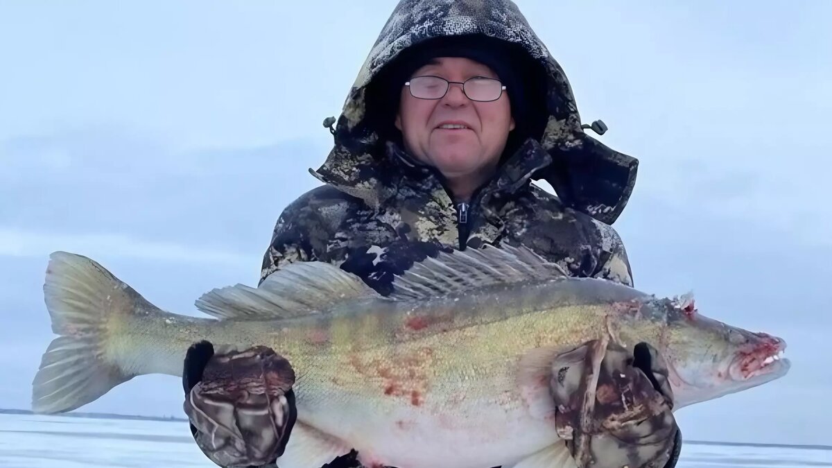     Житель Камышинского района Волгоградской области Александр похвастался в соцсетях огромным уловом на зимней рыбалке. Мужчине удалось поймать судака весом почти 11 килограмм.