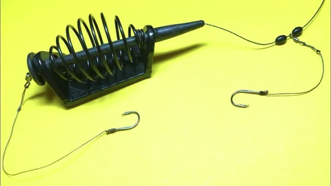 Фото с сайта: https://novikovnn.ru