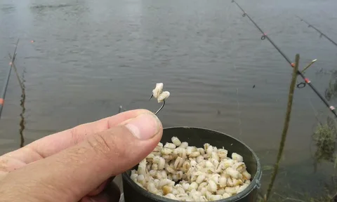 Фото с сайта: https://profrybolov.ru