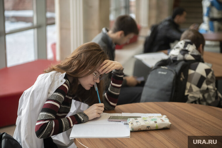 Куда устроиться на работу без опыта. Студенты после вуза. Как найти работу студенту без опыта. Работа для студентов. Взять студенческие работы онлайн.