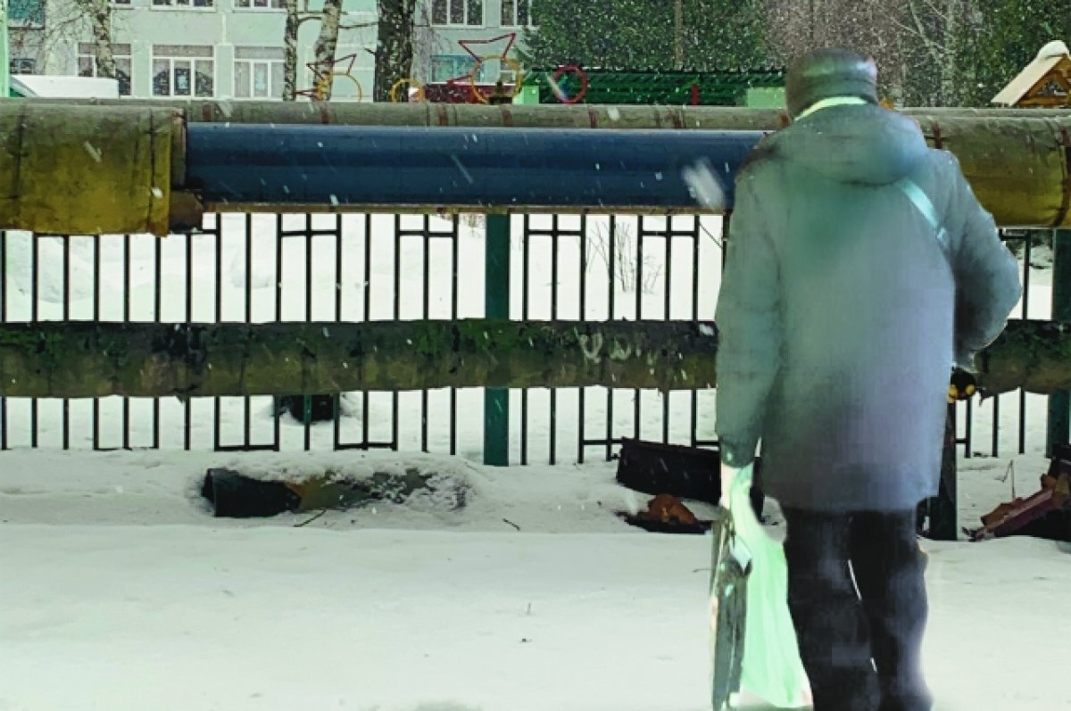    Зиму простоять.