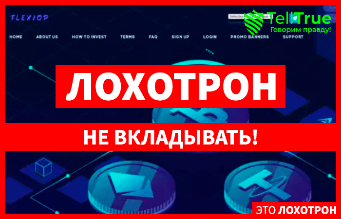 интересные факты о еже. интересные факты правда или ложь. интересные факты о лжи. интересные факты правда или ложь. интересные факты о лжи.