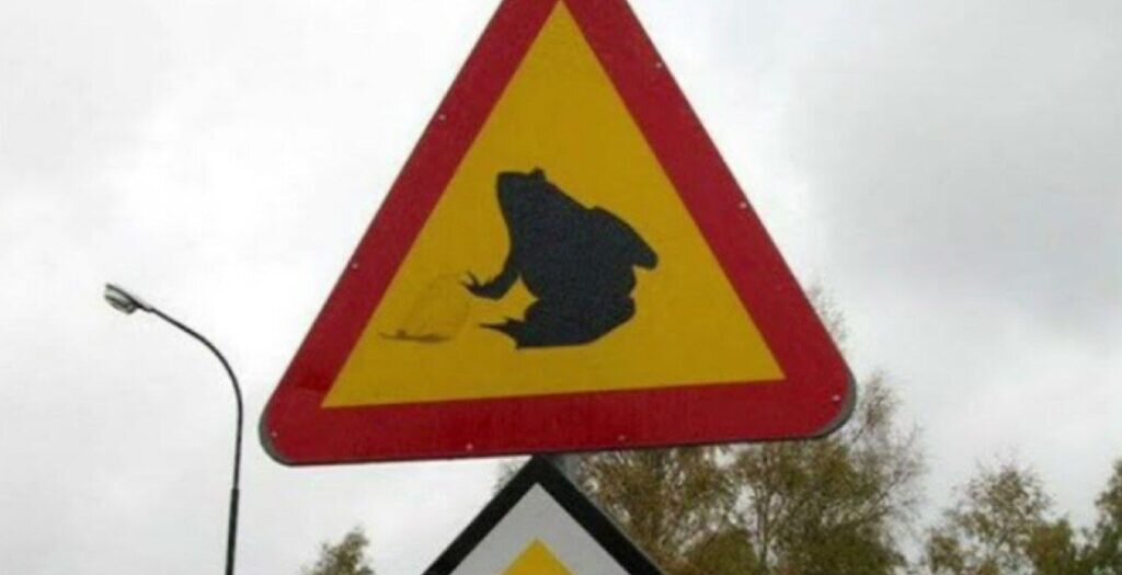   Скриншот с сайта YouTube.com