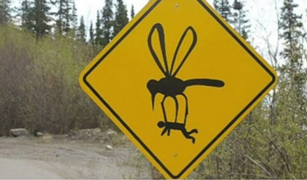   Скриншот с сайта YouTube.com