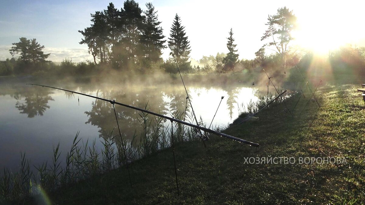 понять и простить наклейка. понять и простить картинки прикольные без галустяна. сет понять и простить. суши даром белореченск. сет понять и простить.