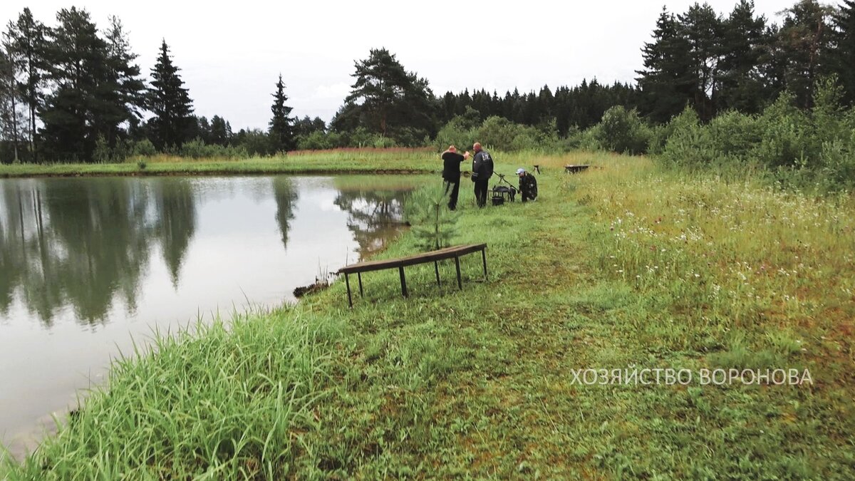 рыбаки на пруду