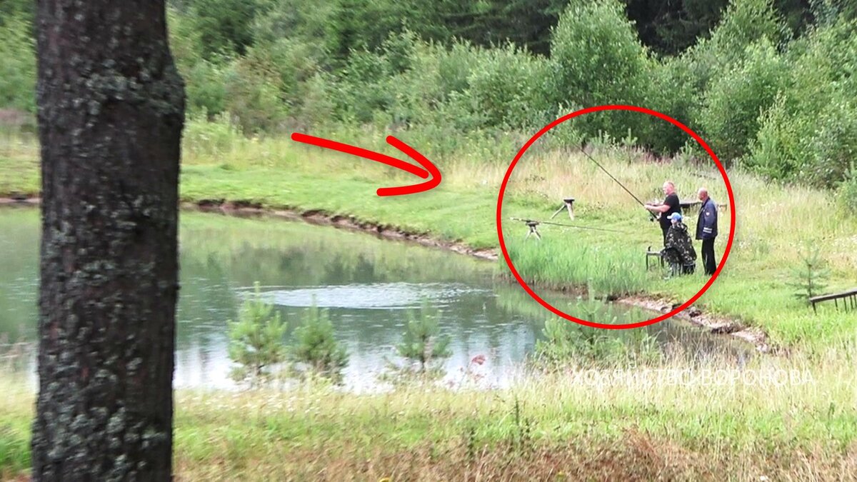 рыбаки на пруду