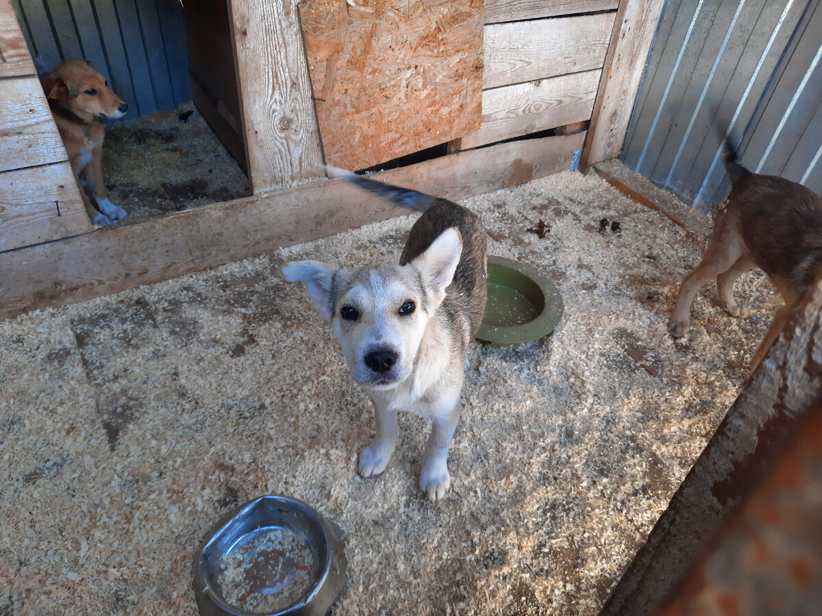 © Владимир Ё