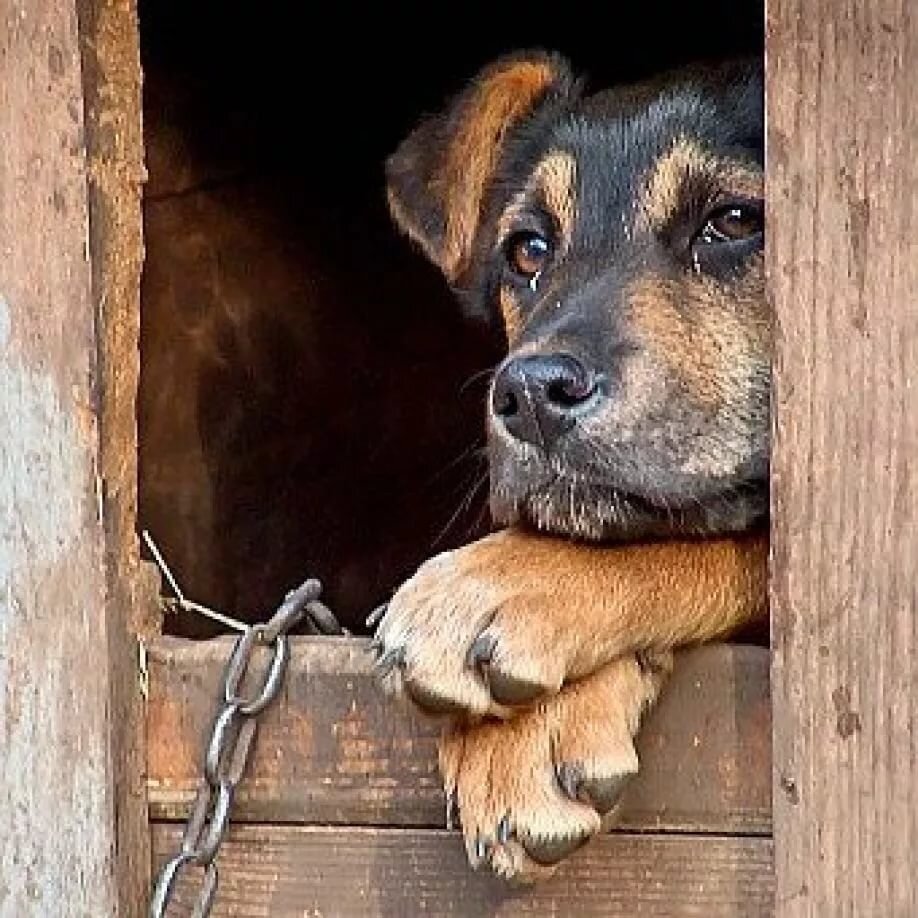 Фото из интернета