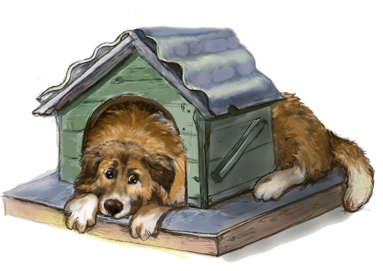 Картинка из интернета