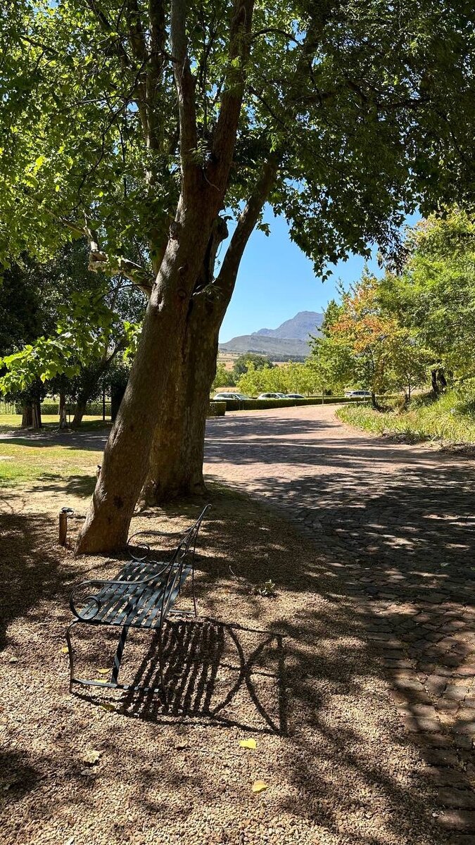 Выбрать систему вин. Сочетание вин и блюд. Вино. Выбрать систему вин. Выбрать систему вин.