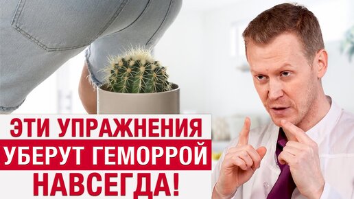 Откровенный разговор с проктологом: страшного в геморрое ничего нет!