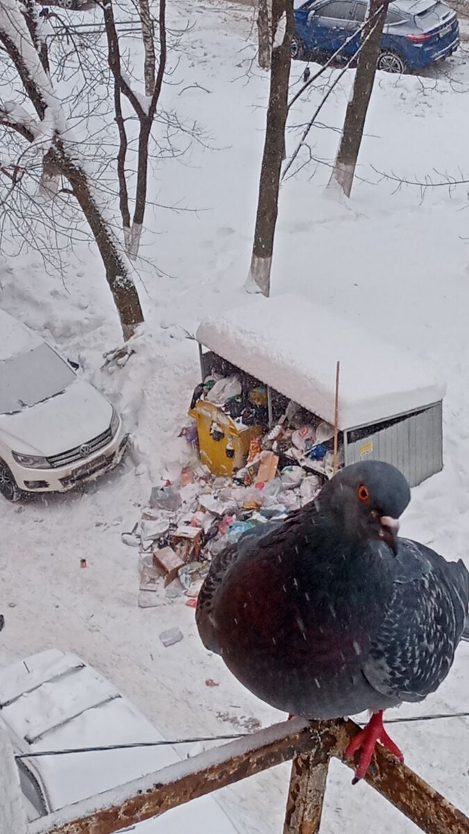 Фото автора