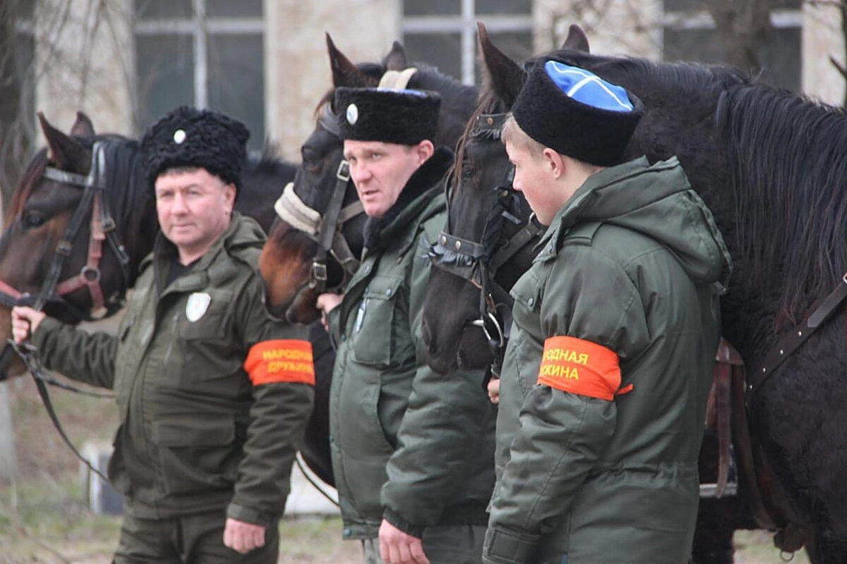 Порядок формирования дружины. Порядок формирования дружины