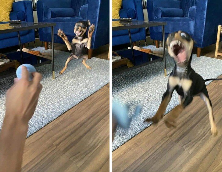 Источник: reddit.com