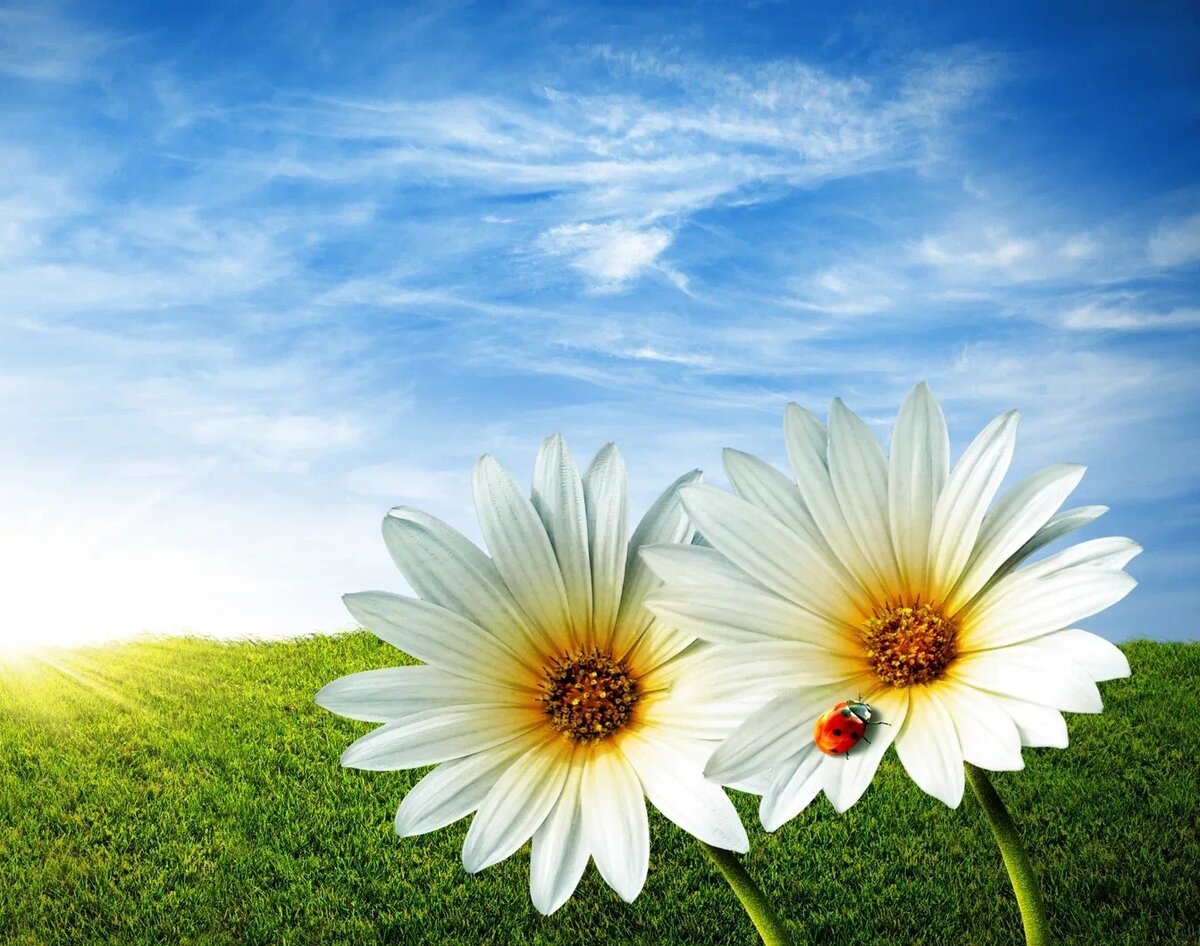 Реальная история. Мне примерно 45 и это третий и последний случай моего рождения