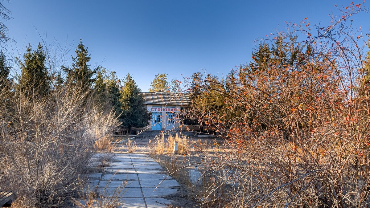 рассказы пионерский лагерь вожатая