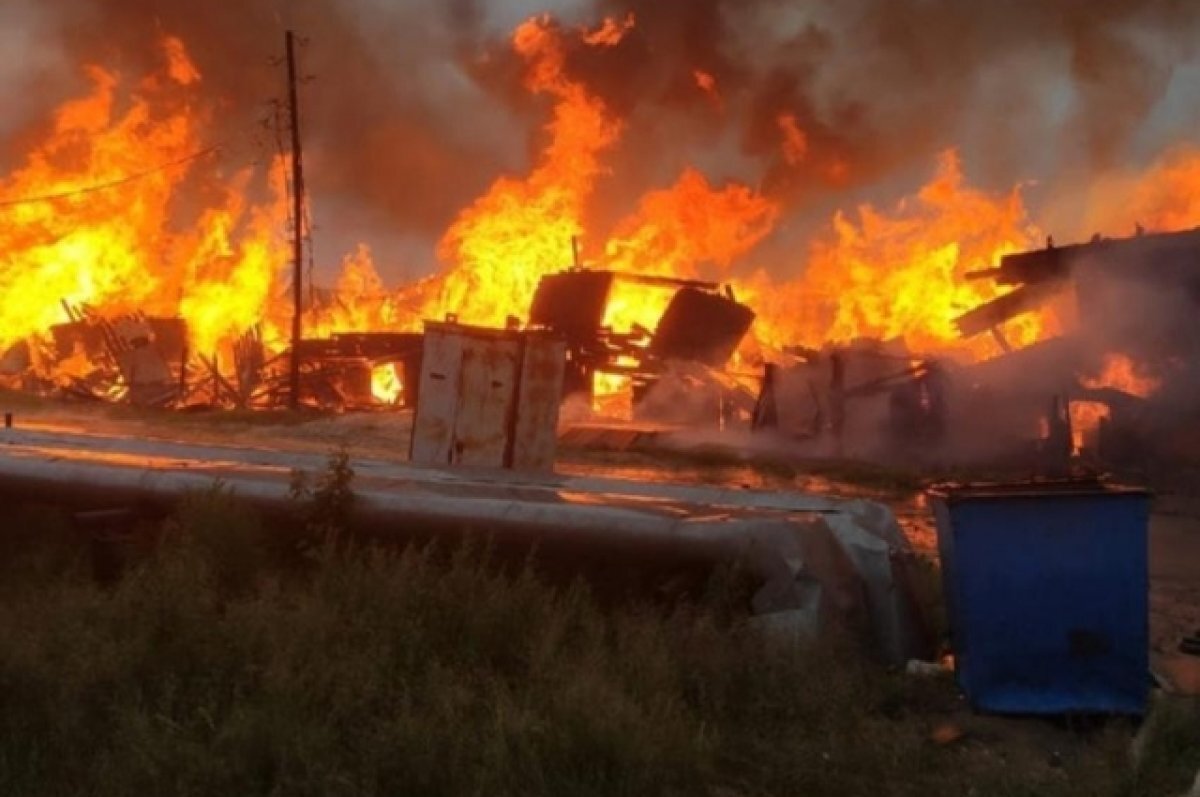    Два телёнка погибли на пожаре в районе Забайкалья